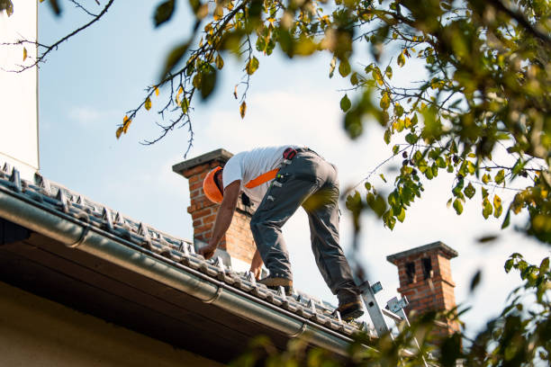 Best Roof Gutter Cleaning  in Iola, WI