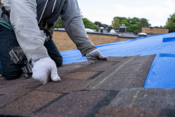Best Roof Gutter Cleaning  in Iola, WI